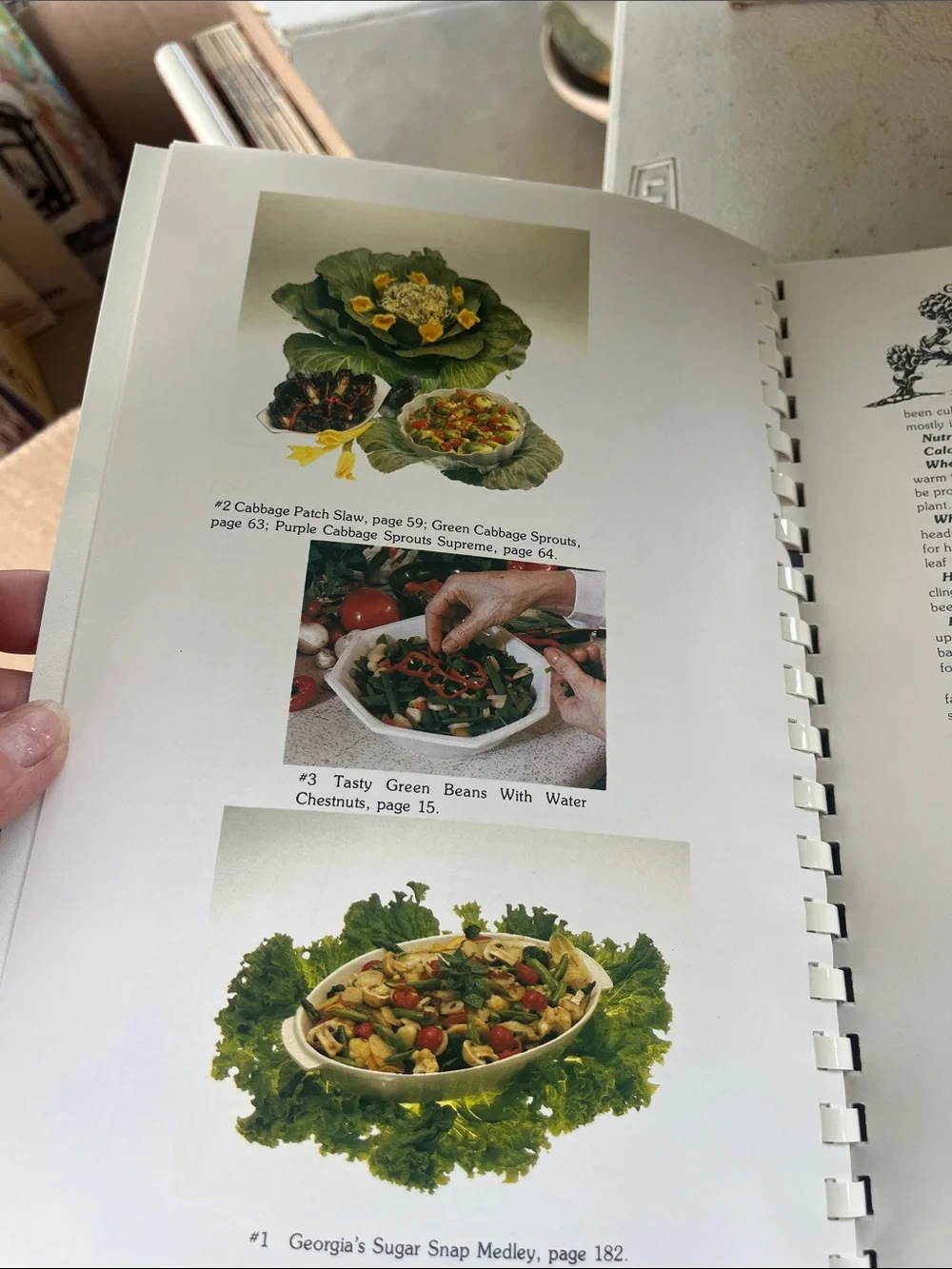 Fresh ideas for vegetable cooking cookbook